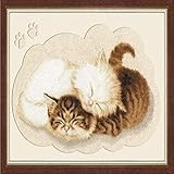 【KIT DE PUNTADA DE CRUZ DE 11CT】: lienzo preimpreso de tamaño 40x50cm, hilo de algodón con número preclasificado (sin marco), tela de algodón, 2 puntadas y una breve descripción (20% -30% hilo de algodón adicional)