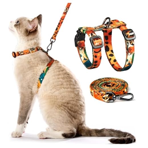 Comfortable Escape Proof Cat Harness Set