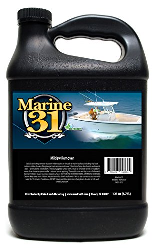 Marine 31 Mildew Remover Gallon