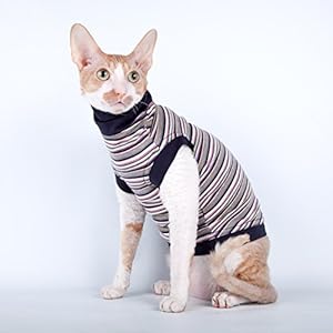 Kotomoda Katzen Rollkragenpullover Tabbykatze (S)