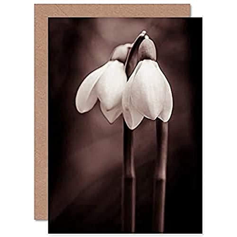 Fine Art Prints Two Snowdrops Photograph Greeting Card With Envelope Inside Premium Quality