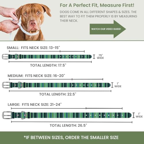 Image of Waterproof Dog Collar (Teal-L 1 inch) and Shammy (1-Pack) Set for Medium Large Dogs Easy Clean Odor Free Drying Gear