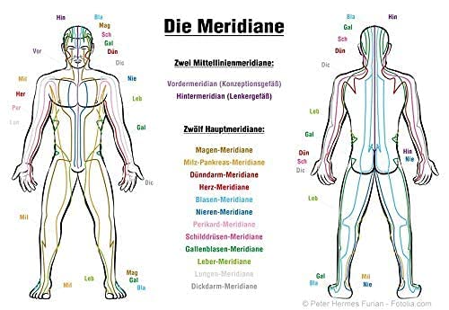 HILDEGARD von BINGEN Multi Energie Globuli. Gebündelte traditionelle energetische UrKraft für mehr Einklang & Lebensfreude in Violettglasflasche von Sonnenherz