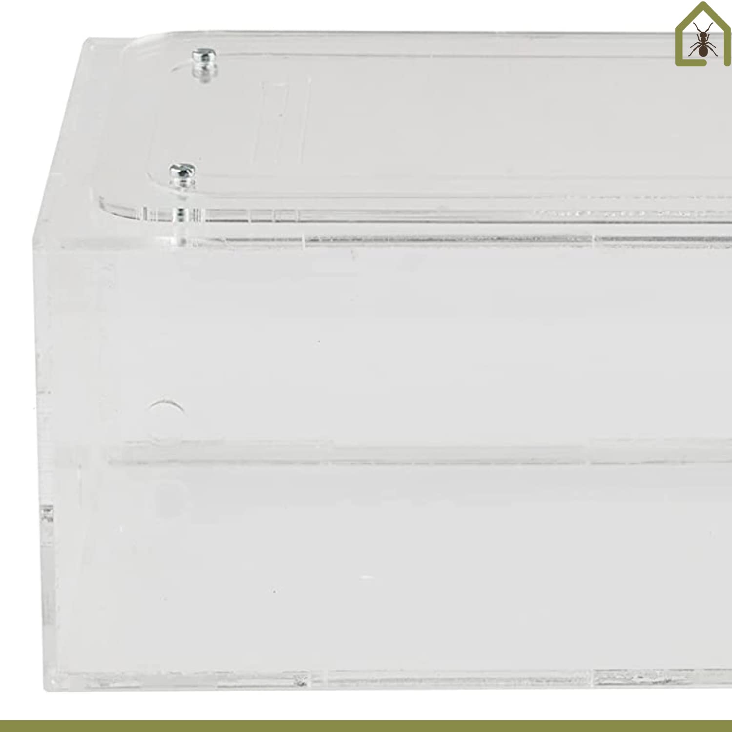 AntHouse.es - Hormiguero Natural de Arena | Kit Inicio Big Acrílico 30x15x10 cm | Granja de Hormigas | Colonias de Hormigas Incluida - 5