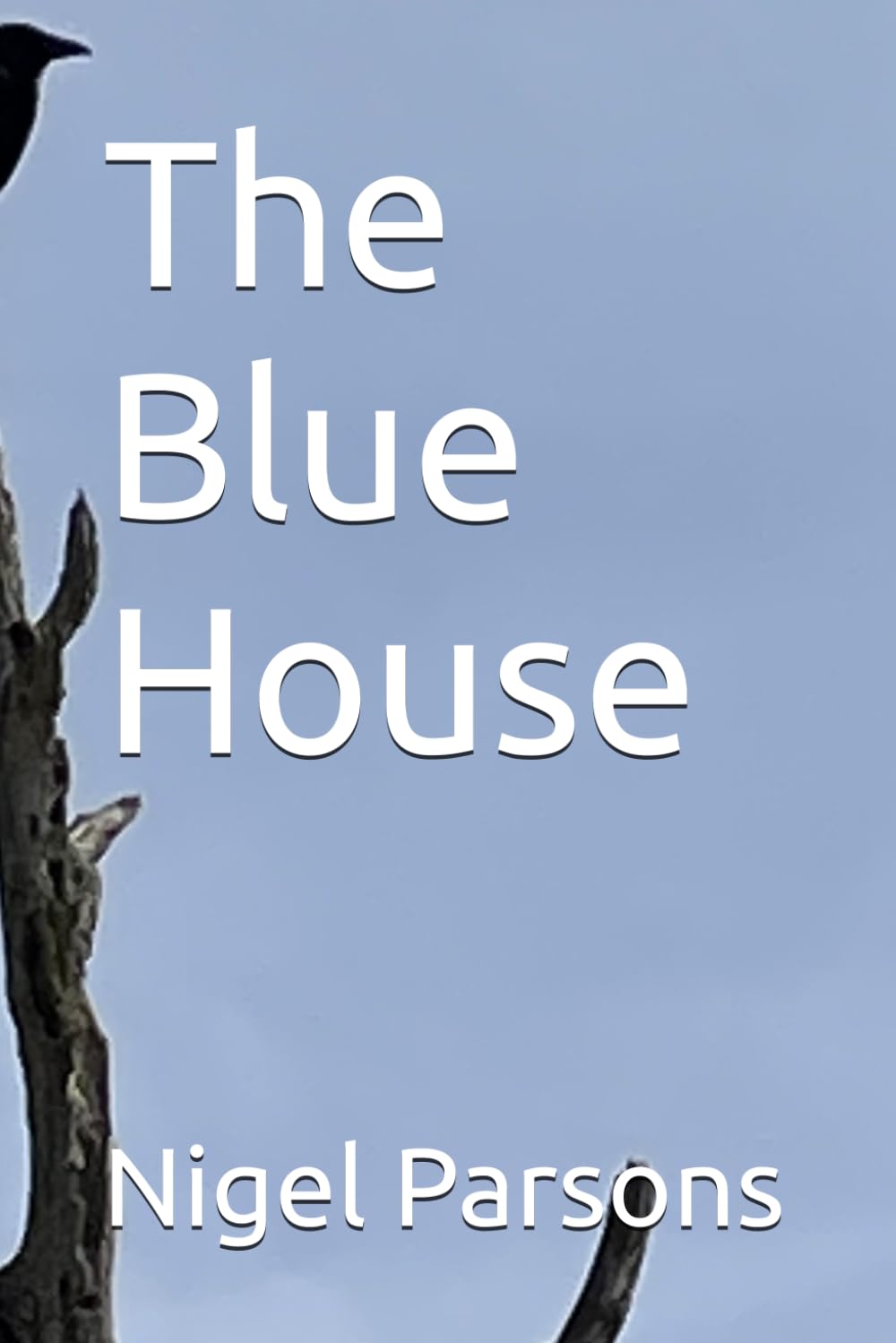 The Blue House
