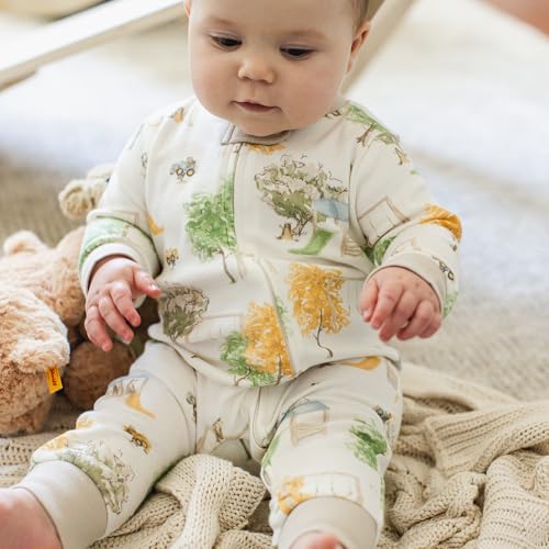 Image of Burt's Bees Baby unisex-baby Sleep & Play, Organic One-piece Romper-jumpsuit Pj, Zip Front Footed Pajama