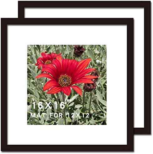 16x16 Picture Frame Black 2 Pack Solid Wood for Mat 12x12 Wall Mounting Square Poster Photo Frames