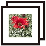 16x16 Picture Frame Black 2 Pack Solid Wood for Mat 12x12 Wall Mounting Square Poster Photo Frames