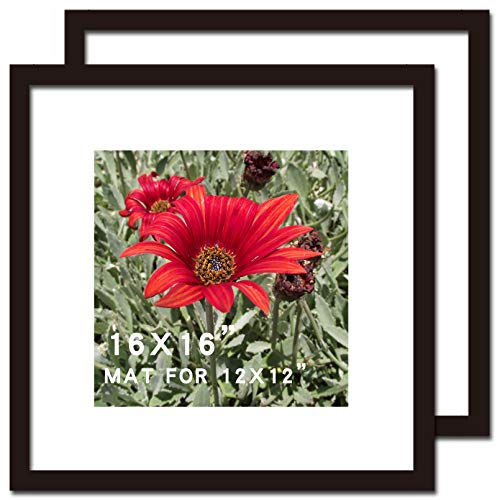 16X16 Picture Frame Black 2 Pack Solid Wood For Mat 12X12 Wall Mounting Square Poster Photo Frames #TOP28