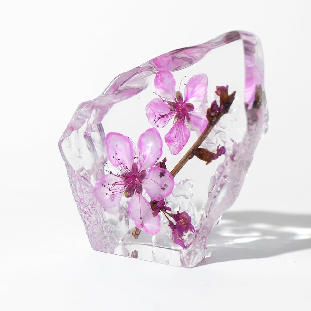 Taxidermy Peachblossom, Real Flower Specimen in Crystal Clear Resin, Preserved Sample Plant Flower Paperweight for Botany Science Education (Peachblossom-1PC)
