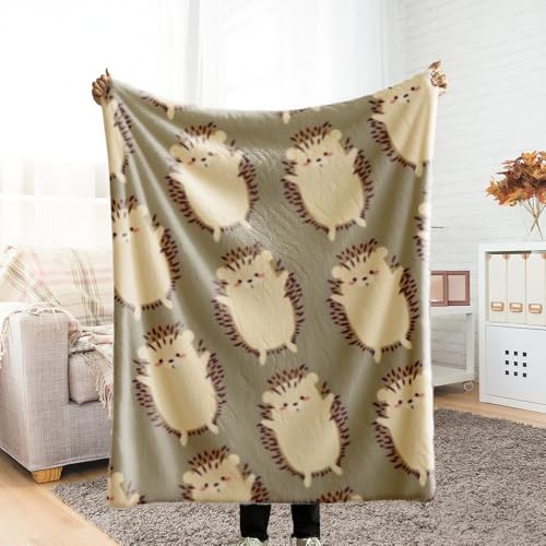 ѕz VO ӂӂ uPbg blanket for winter G| ͂˂ݕ ~ Ƃӂ blanket for all season Ђ| ~p  Ódh~ y ΍ Ȃ߂炩 lGKp