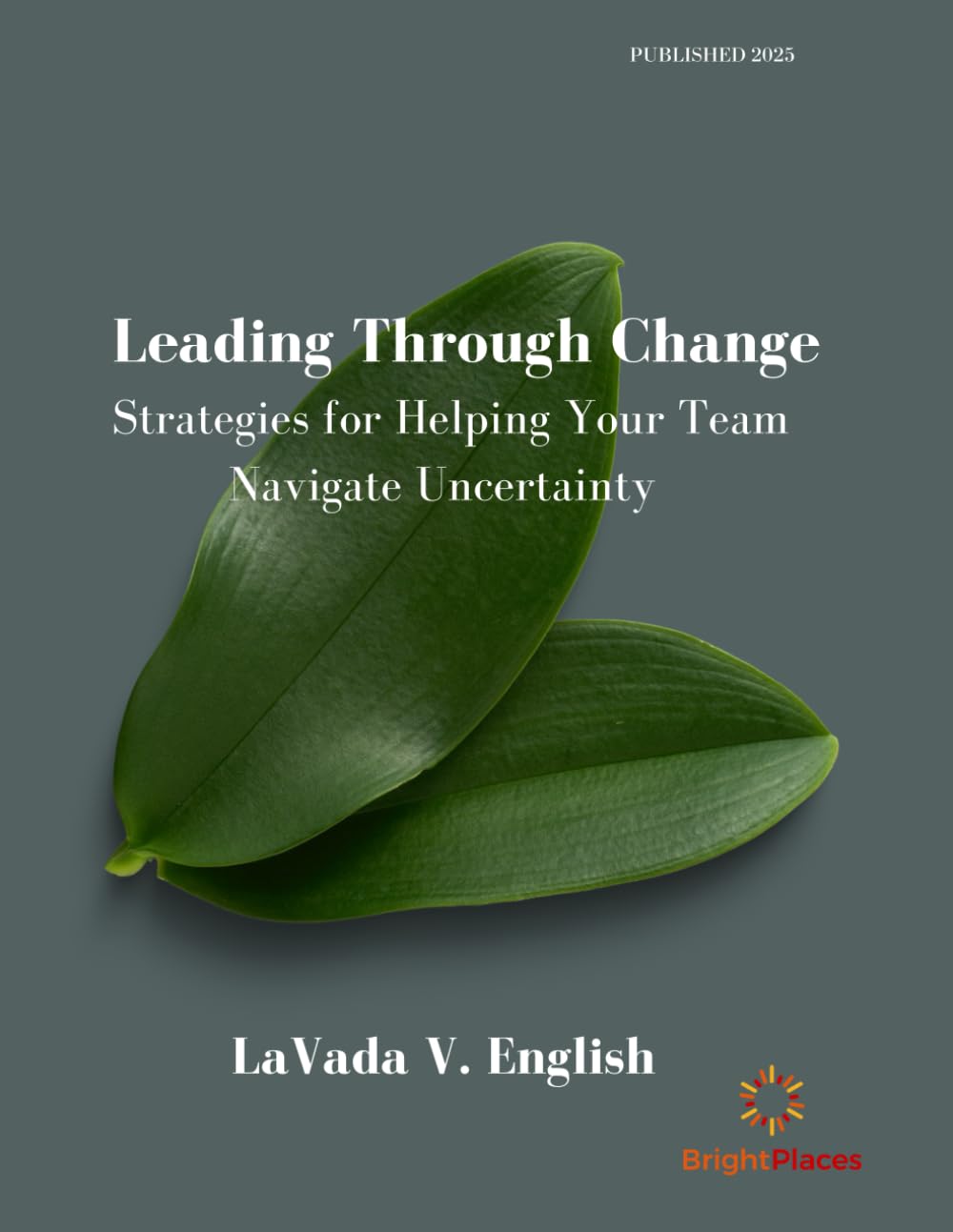 Leading Through Change: Strategies for Helping Your Team Navigate Uncertainty