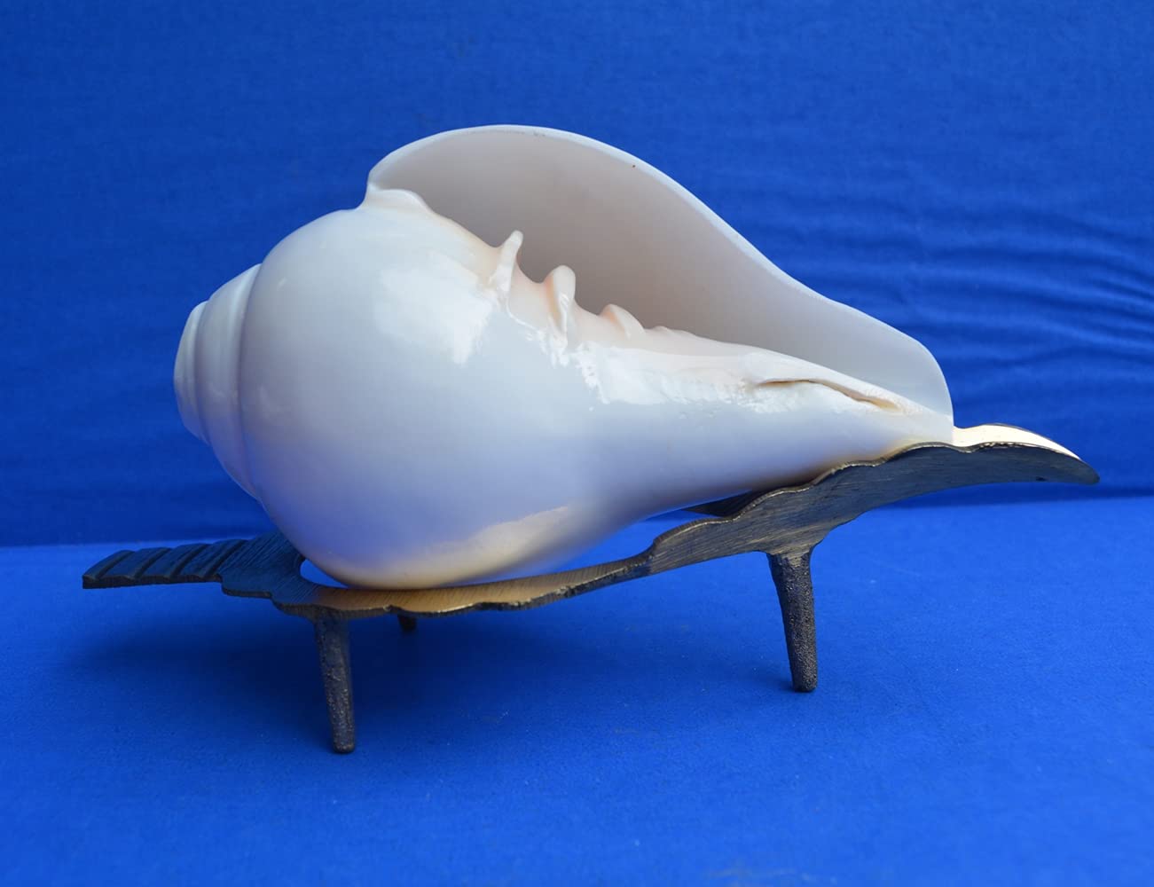 Indian Shankh Blowing Conch Shell White Sound Conch Shell for Home Decor~I-5390