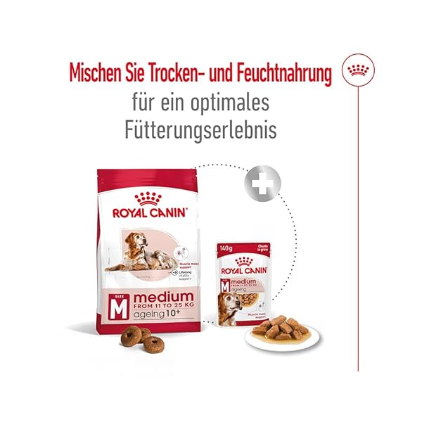 Royal Canin Medium Ageing 10+ | 10 x 140 g | Nassfutter für mittelgroße Hunde (11 bis 25 kg) | Ab dem 10. Lebensjahr | Zur Unterstützung des gesunden Alterns – Bild 8