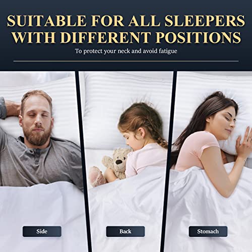 Image of COZSINOOR Queen Size Bed Pillows Set of 2, Plush Cooling Hotel Quality Pillows with Breathable Skin-Friendly Microfiber Cover