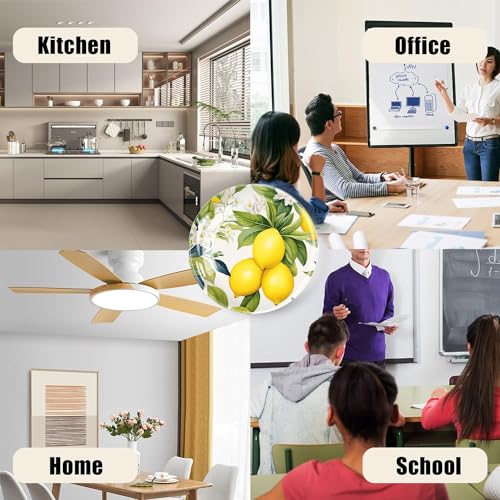 6 imanes decorativos de cristal para refrigerador redondos miniatura 6