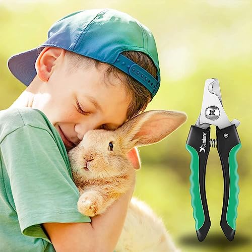 Candure Profi Krallenschere für Hunde und Katzen mit Nagelfeile Edelstahl Krallenzange Hohe Qualität Krallenpflege Schneider für Haustiere Nagelknipser groß Mit Sicherheitsschutz (Klein (S), Grün)