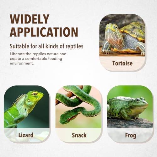 UEETEK Haustiere Fütterung Platte Reptil Fütterung Schüssel Vivarium Lebensmittel Wasser Dish Harz Schüssel für Schildkröte Gecko Schlange Haustier Zucht Tray