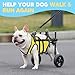 Lokshun Dog Wheelchair for Back Legs, LED Small Wheelchair for Dogs with Portable Pet Lift, Adjustable Dog Wheels for Disabled Back Legs, Lightweight Dogs Carts with Wheels - S