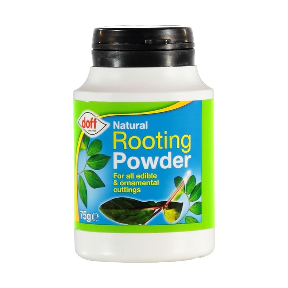 Natural Rooting Powder 75g White Rooting Formula for Robust Root Growth Cuttings & Grafting Powder Pack of 1/2/3/4. (Pack of 1)