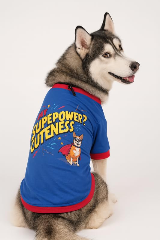 Image of Thunder Tails Cotton Adjustable Dog T-Shirt for Full-Grown Labrador, Golden Retriever, German Shepherd & Husky | Soft Pet Clothing for Large Dogs (Royal Blue, 5XL)