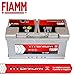 Fiamm 7905160-2 Batteria Auto Titanium Plus Potenziata, 100A, 12V