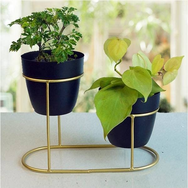 See full amazon price history chart for EDEN-ADINA Stylish Design Metal Double Pot Table Top Planter with Golden Stand (Black Pots, Metal) EDEN-ADINA Stylish Design Metal Double Pot Table Top Planter with Golden Stand (Black Pots, Metal) (B09RV6K4N5) Amazon Price History, Amazon Price Tracker
