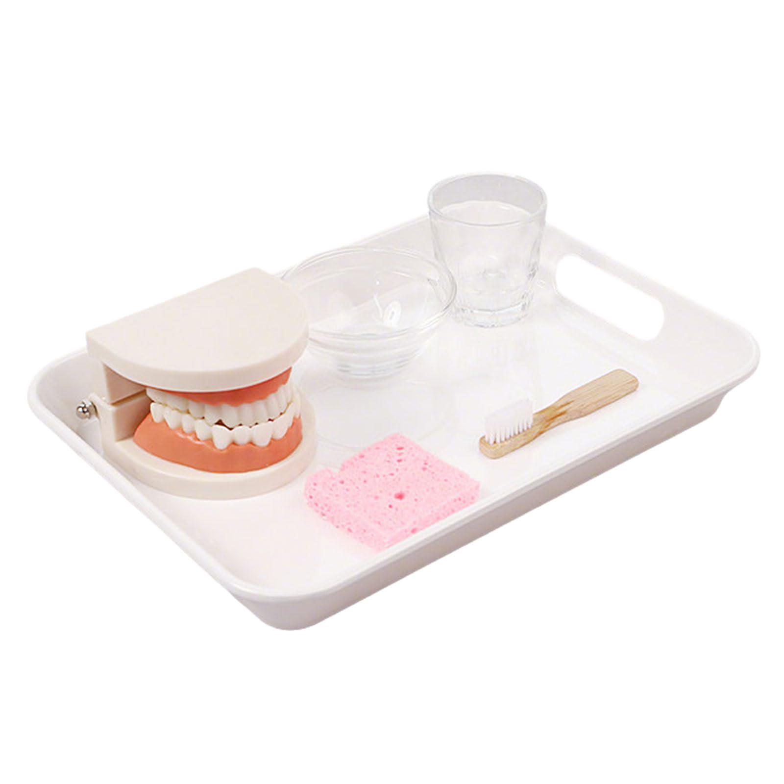 ttnmrc Montessori Kids Teeth Brushing Practice Kit | Dental Model Oral Hygiene Teaching Toy | Educational Learning Set
