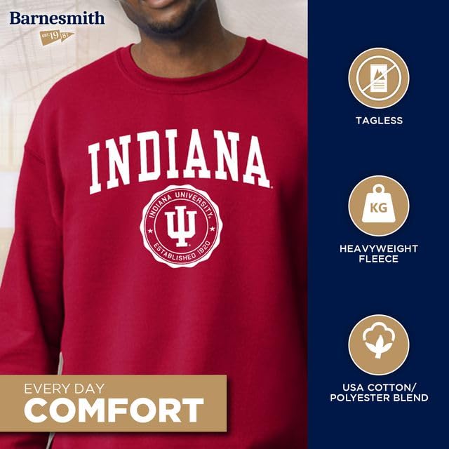 Image of Ivysport Crewneck Sweatshirt for College, Heritage Logo, Color, Adult Unisex