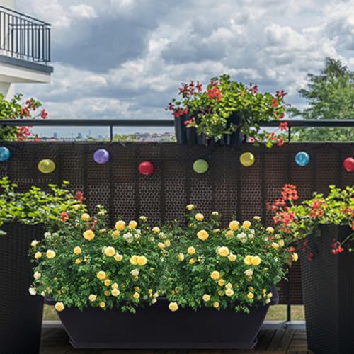 Plastique pour jardinage intérieur et extérieur avec ces 5 bacs