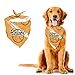 Funny Basketball Sport Personalized Dog Bandana Handkerchiefs Scarfs Triangle Bibs for Dogs Puppies Pets Gift