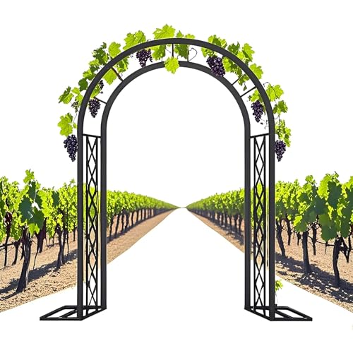 Arche à rosiers en métal pour mariage et décoration romantique de jardin
