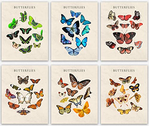 Tableau décoration murale papillon art floral affiche salon moderne lot de 6