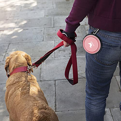 Image of Rest-Eazzzy Silicone Collapsible Dog Bowls for Travel, 2-Pack Dog Portable Water Bowl for Dogs Cats Pet Foldable Feeding Watering Dish for Traveling Camping Walking with 2 Carabiners, BPA Free, Small
