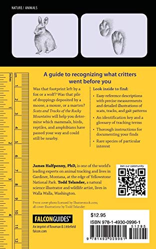 Scats and Tracks of the Rocky Mountains: A Field Guide to the Signs of 70 Wildlife Species (Scats and Tracks Series) - Image 2