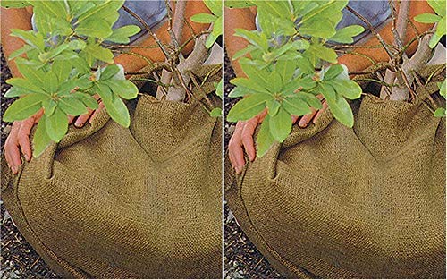 DeWitt 3-Foot by 48-Foot Burlap NB348 (Pack of 2)