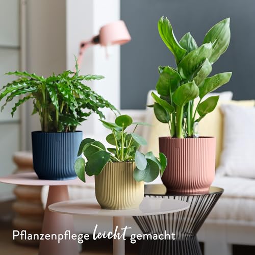elho Vibes Fold Rund mit Selbstbewässerungssystem - Blumentopf für Innen - 100% Recycelter Kunststoff - Ø 18 cm - Zartrosa – Ansicht 3
