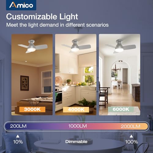 Image of Amico Ceiling Fans with Lights, 30 Inch Low Profile Ceiling Fan with Light and Remote Control, Flush Mount, Reversible, 3CCT, Dimmable, Noiseless, Silver Ceiling Fan for Bedroom, Indoor /Outdoor Use