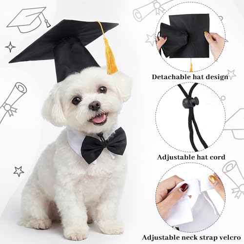 Set de birrete y corbatín para mascotas pequeñas y medianas miniatura 3