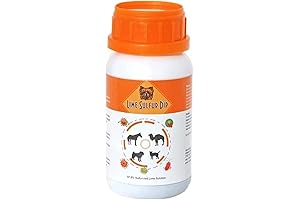 Ringworm Treatment for Cats and Kittens