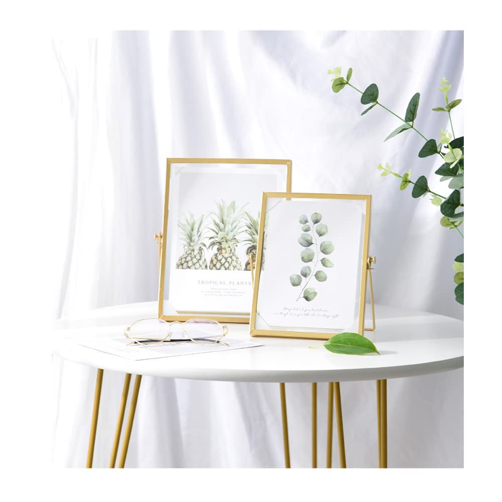 Namvo Gold Dried Flower Embossed Glass Photo Frame, Brass Glass Artwork Certificate Photo Picture Display Frame Geometric Ornament Plant Specimen Clip Pressed Flower