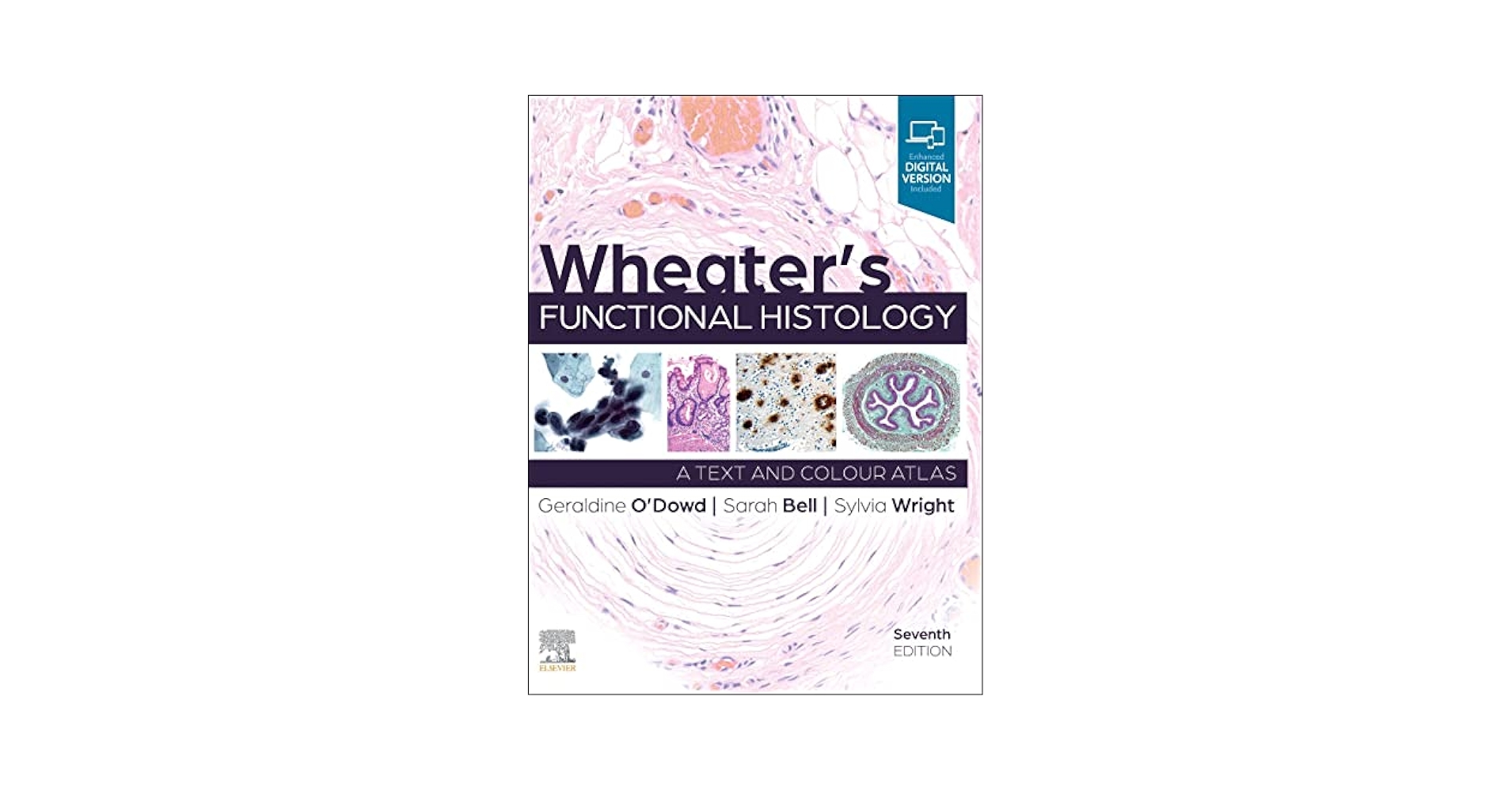 Wheater's Functional Histology: 9780702083341: Medicine
