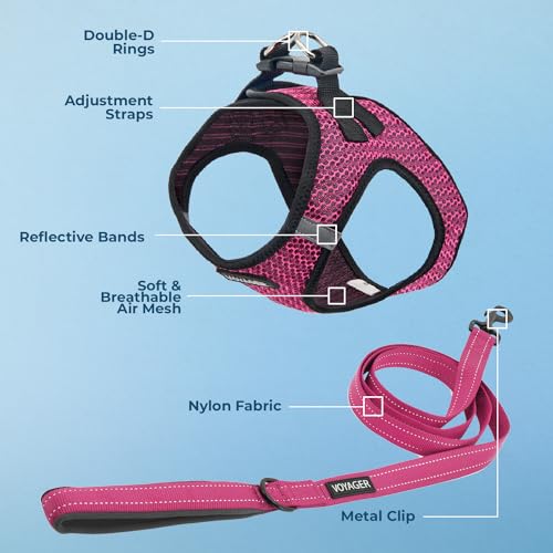 Image of Voyager Step-in Air All Weather Mesh Harness and Reflective Dog 5 ft Leash Combo with Neoprene Handle, for Small, Medium and Large Breed Puppies by Best Pet Supplies -Fuchsia 2-Tone (Leash Bundle) S