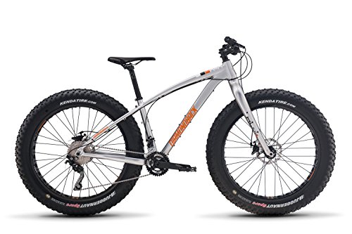 Diamondback Bicycles El OSO Dos Fatbike Hardtail Mountain Bike, Silver