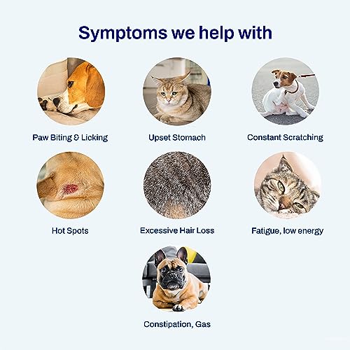 AFIL Pet Raw Food Intolerance Test for Dogs and Cats – 300+ Items Tested – at Home Food Sensitivity Test – Raw Dairy, Raw Fruits, Raw Proteins, Raw Vegetables – Fast Results AFIL Pet Raw Food Intolerance Test for Dogs and Cats – 300+ Items Tested – at Home Food Sensitivity Test – Raw Dairy, Raw Fruits, Raw Proteins, Raw Vegetables – Fast Results