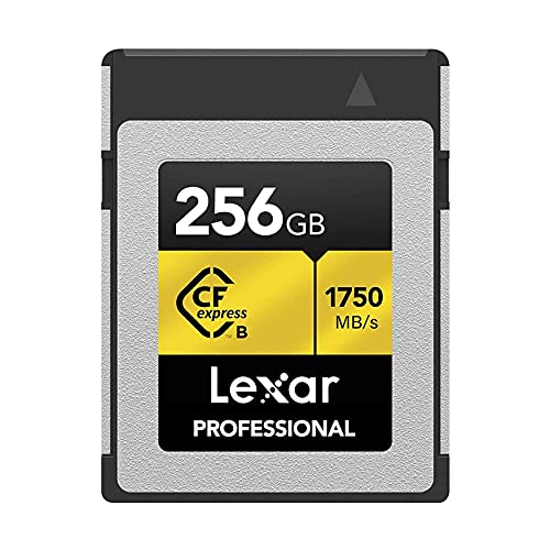 Lexar Professional CFexpress 256GB Type-B Card (LCFX10-256CRBNA)