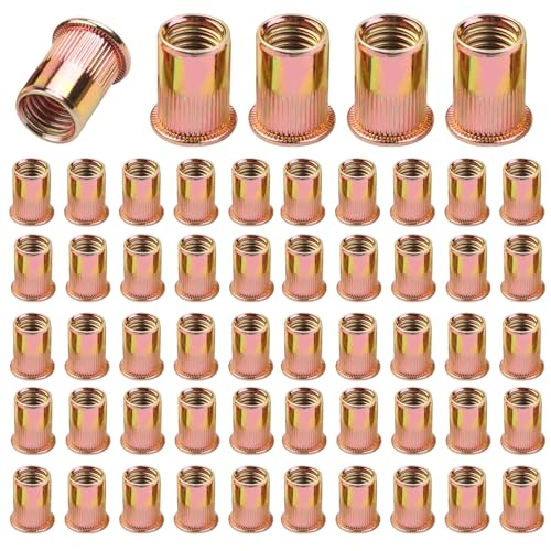 100 Pièces Écrou à Rivet M6 Fileté à Tête Plate, Écrous à Riveter Fileté à Tête, Insert Fileté à Tête Plate En Acier Carbone Zinc, Pour La Fixation De Meubles, Adapté à l'Acier, Au Plastique
