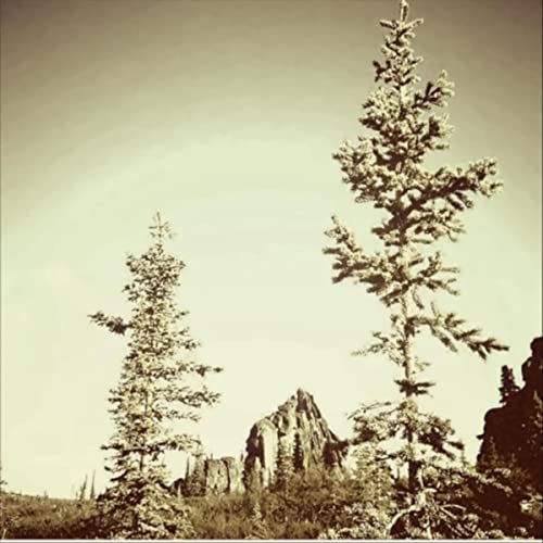 Amazon.com: Ritual : Ghost Trees: Digital Music