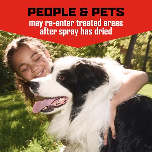 Image of Ortho GroundClear Year Long Vegetation Killer with Comfort Wand - Ready-to-Use Weed Killer Spray, Kills Weeds and Grasses, Prevents Unwanted Growth for up to 1 Year, 1 gal.