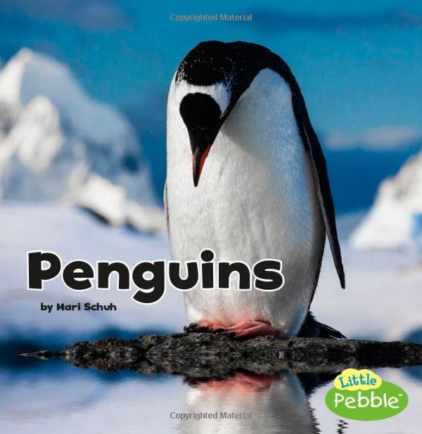 Penguins (Black and White Animals) (Little Pebble: Black and White Animals)